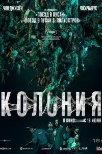  Колония 